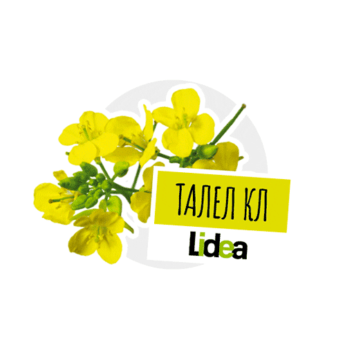 Lidea Seeds Sticker