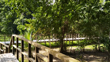 Pucallpa GIF
