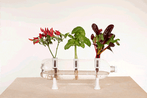 Bottle Farm GIF