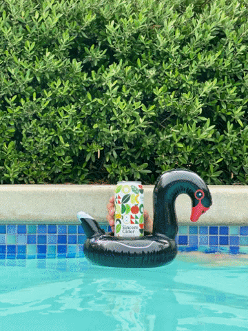 Sincere Cider GIF