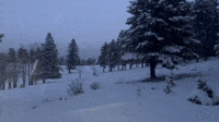 Colorado Snowfall Makes for 'Perfect' Evening Ski
