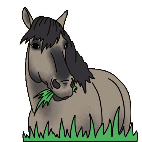 Horse Sticker