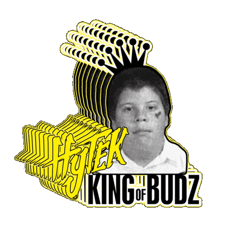 Chocolate Taylor Sticker by King of Budz