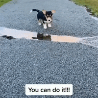 200.gif?cid=fc005b082d87e1ba5e3e1bd6d9e5461e062b63b9186f1a0c&rid=200.gif&ct=g