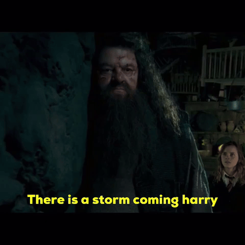 Harry Potter GIF