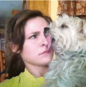 Video gif. Woman holds a fluffy white dog, who appears to be asleep with its tongue hanging out along the side of the woman's nose.