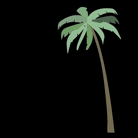 Palm Tree Beach GIF by Yellowoflagos - Find & Share on GIPHY