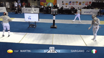 GIF by Fencing Database