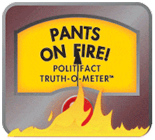 Pants On Fire GIFs - Get the best GIF on GIPHY