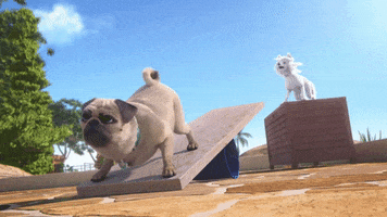 Lets Go Dog GIF by MightyMike