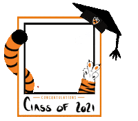 Class Of 2021 Sticker by Princeton University