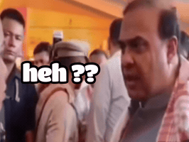 Shocked Surprise GIF