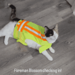 Tired GIF