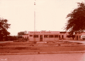 Cariri GIF
