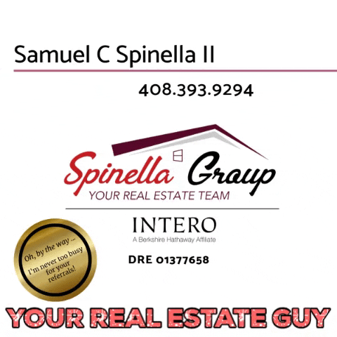 spinella_group  GIF