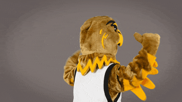 Eddietheeagle GIF by Cal State LA