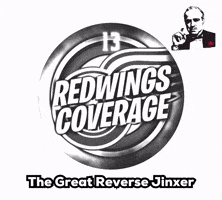 Red Wings Hockey GIF