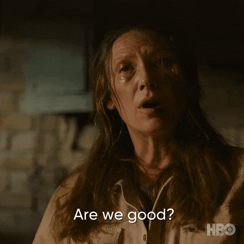 Are We Good Anna Torv GIF by HBO