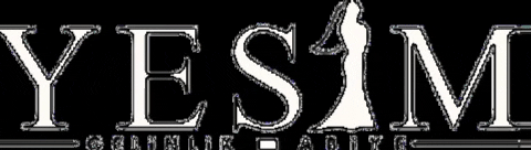 Yesimgelinlikmodaevi GIF