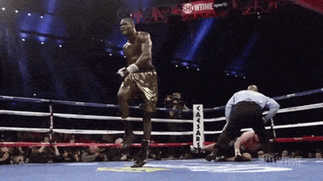 PROMOUNTINGS GIF