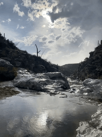 Nature GIF