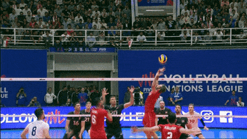 Power Joy GIF by Volleyball World