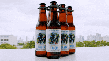Miami Marlins Drinking GIF by Biscayne Bay Brewing