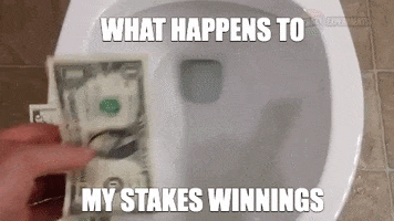 Playwithstakes GIF by Stakes