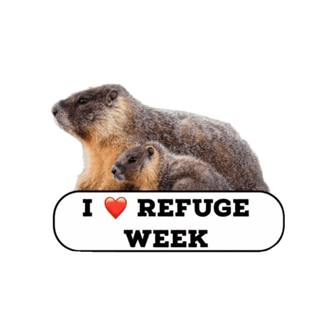 National Wildlife Refuge Baby Sticker by U.S. Fish and Wildlife Service