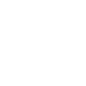 The Council Sticker