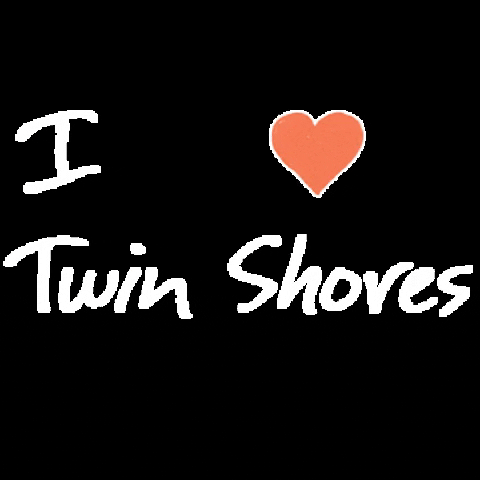 TwinShores GIF
