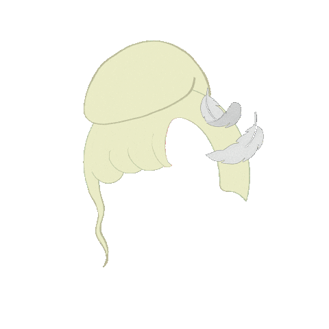 Drag Tierra Sticker