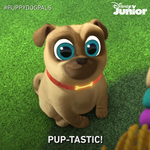 Happy Puppy Dog Pals GIF by DisneyJunior