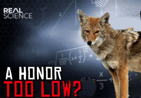 Read Dead Redemption GIF