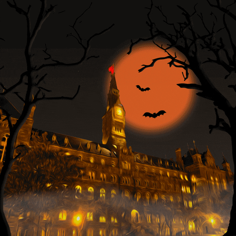 Georgetown Alumni GIF