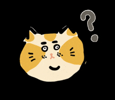 nanaplaying cat 問號 啥 胖貓 GIF