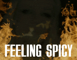 spicy victoria beckham GIF by Spice Girls