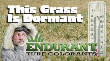 Green Grass Lawn GIF by ENDURANT TURF PAINT