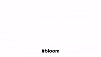trainbloom fitness workout monday bloom GIF