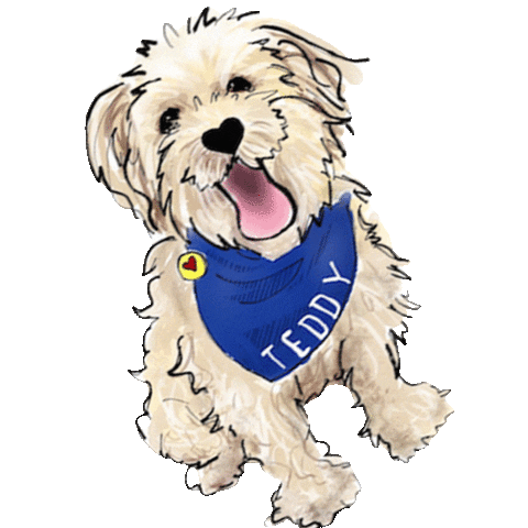 Dog Pet Sticker by teddytakesthecity