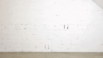 Cut Scissors GIF by ALL4.HOUSE