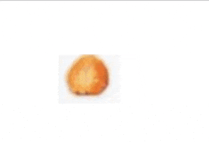 Ümitköy Çiftliği GIF