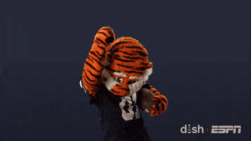College Football Yes GIF by DISH