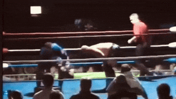 Wwe GIF
