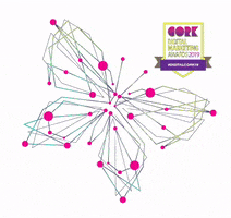 CorkChamberEvents digitalmarketing cork cdma digitalcork19 GIF