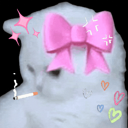 Cat Smoking GIF by SkiEssentials