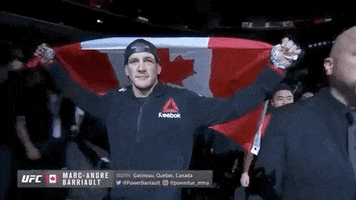Marc Andre Barriault GIF by UFC