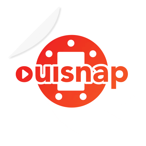 Ouisnapstickers Sticker by ouisnap