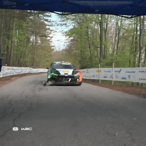 Fail Ford GIF by FIA World Rally Championship