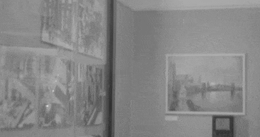Curious GIF